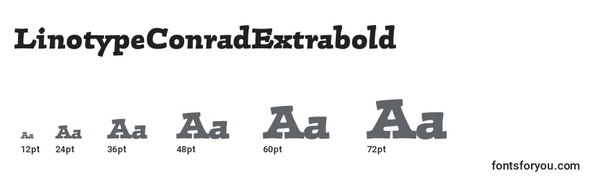 Rozmiary czcionki LinotypeConradExtrabold
