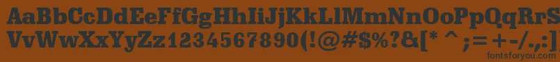 SchadowBlackBt Font – Black Fonts on Brown Background