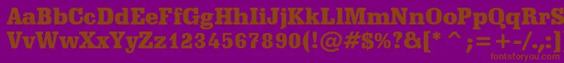 SchadowBlackBt Font – Brown Fonts on Purple Background