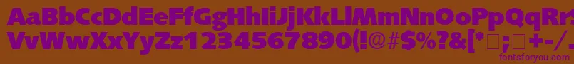 LansetteDisplaySsi Font – Purple Fonts on Brown Background