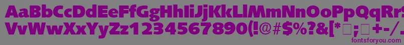 フォントLansetteDisplaySsi – 紫色のフォント、灰色の背景