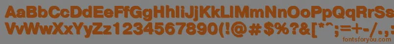 Ptpra11 Font – Brown Fonts on Gray Background