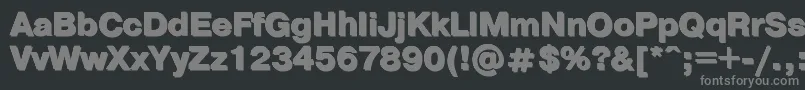 Ptpra11 Font – Gray Fonts on Black Background