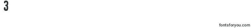 LinotypeTagesstempelDick Font – Fonts for Digit 3