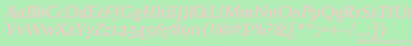 MendozaRmnMdOsItcTtMedita Font – Pink Fonts on Green Background