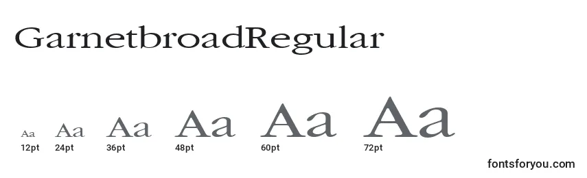 Размеры шрифта GarnetbroadRegular