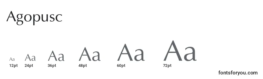 Размеры шрифта Agopusc