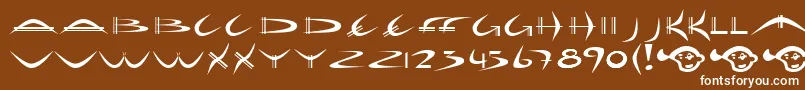 HolidayHardcoreBold Font – White Fonts on Brown Background