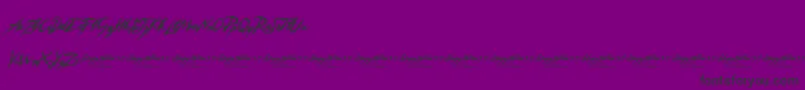 SleepyHollow3.0-Schriftart – Schwarze Schriften auf violettem Hintergrund