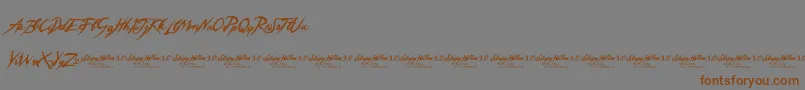 Czcionka SleepyHollow3.0 – brązowe czcionki na szarym tle