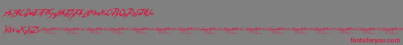 SleepyHollow3.0-Schriftart – Rote Schriften auf grauem Hintergrund