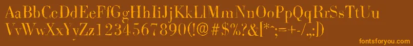 BodoniantiqueLightRegular Font – Orange Fonts on Brown Background