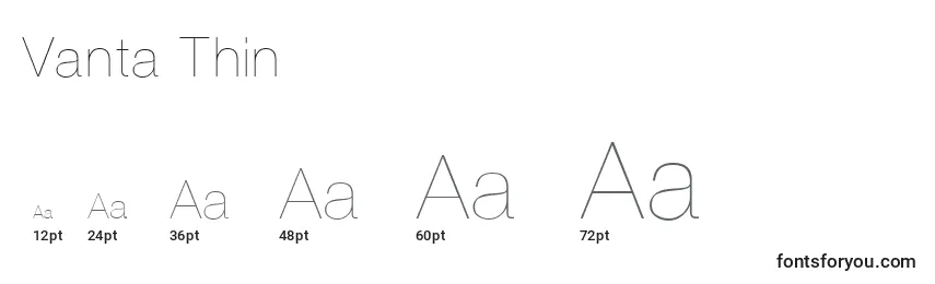 Vanta Thin Font Sizes