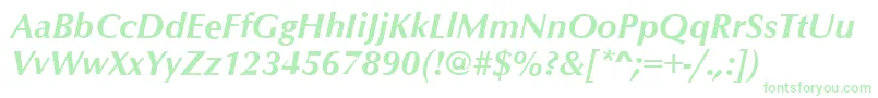 OptimumBoldItalic Font – Green Fonts on White Background