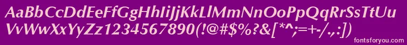 OptimumBoldItalic Font – Pink Fonts on Purple Background