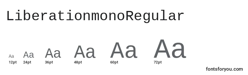 LiberationmonoRegular Font Sizes