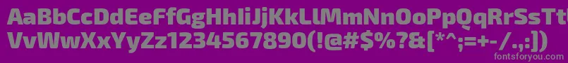 Exo2Black Font – Gray Fonts on Purple Background