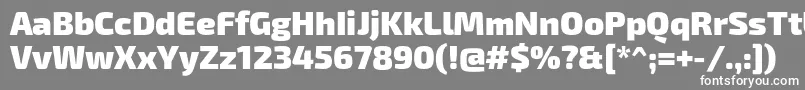 Exo2Black Font – White Fonts on Gray Background