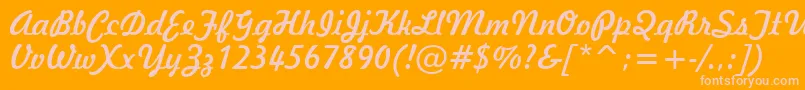 Freehand521Bt Font – Pink Fonts on Orange Background