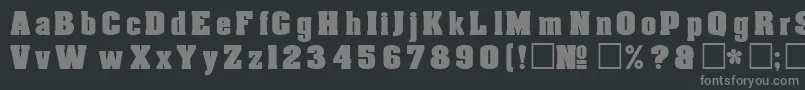 フォントDgAachenNormal – 黒い背景に灰色の文字