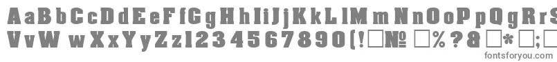 フォントDgAachenNormal – 白い背景に灰色の文字