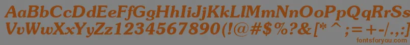 SouvenirDemiItalicBt Font – Brown Fonts on Gray Background