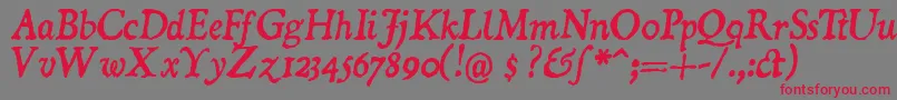Domii-Schriftart – Rote Schriften auf grauem Hintergrund