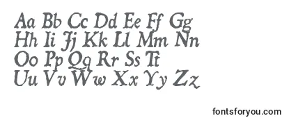 Обзор шрифта Domii