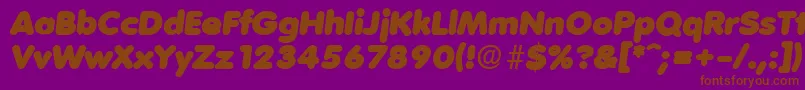 VolkswagenSerialBlackRegularitalicDb Font – Brown Fonts on Purple Background