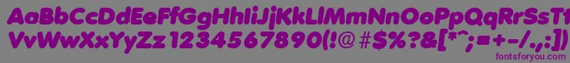 VolkswagenSerialBlackRegularitalicDb Font – Purple Fonts on Gray Background