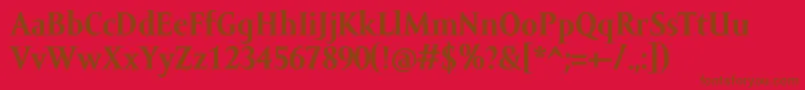 AmorSerifTextProBold-Schriftart – Braune Schriften auf rotem Hintergrund