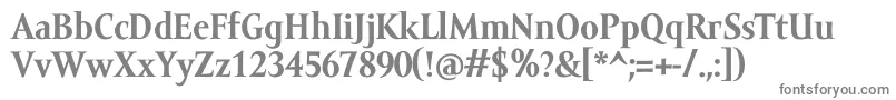 AmorSerifTextProBold Font – Gray Fonts on White Background