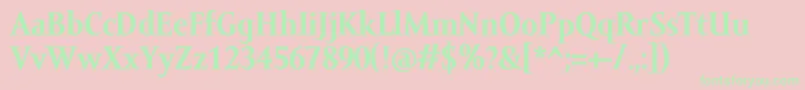 AmorSerifTextProBold Font – Green Fonts on Pink Background