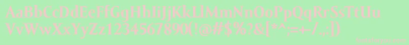 AmorSerifTextProBold Font – Pink Fonts on Green Background