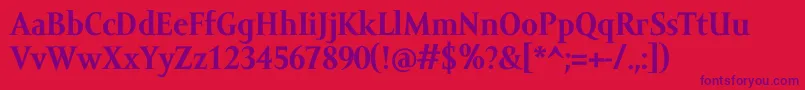 AmorSerifTextProBold Font – Purple Fonts on Red Background