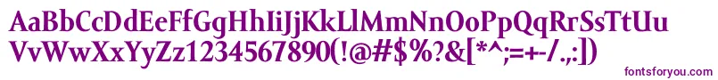 AmorSerifTextProBold Font – Purple Fonts