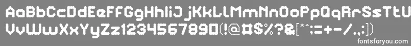TheBrainSlim Font – White Fonts on Gray Background