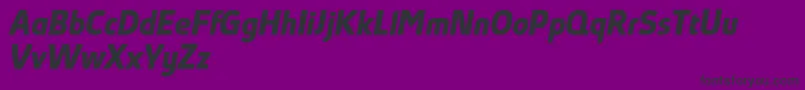 AbsolutProBoldItalicReduced Font – Black Fonts on Purple Background