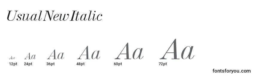 Размеры шрифта UsualNewItalic