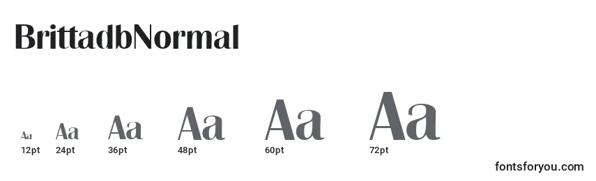 BrittadbNormal Font Sizes