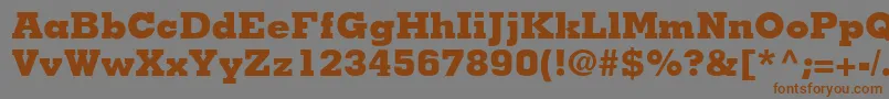 フォントJaakBlackSsiExtraBold – 茶色の文字が灰色の背景にあります。