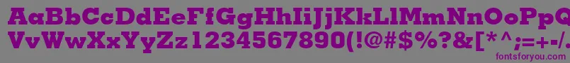 Шрифт JaakBlackSsiExtraBold – фиолетовые шрифты на сером фоне