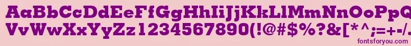 JaakBlackSsiExtraBold Font – Purple Fonts on Pink Background
