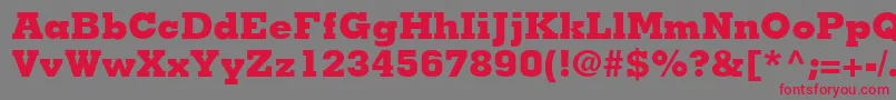 JaakBlackSsiExtraBold Font – Red Fonts on Gray Background