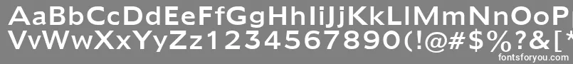 フォントAdamsNormal – 灰色の背景に白い文字