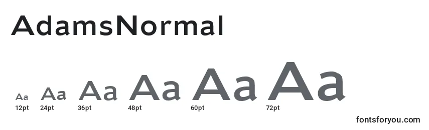 AdamsNormal Font Sizes