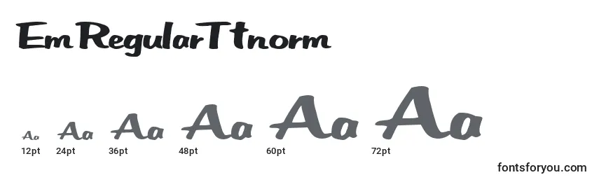 EmRegularTtnorm Font Sizes