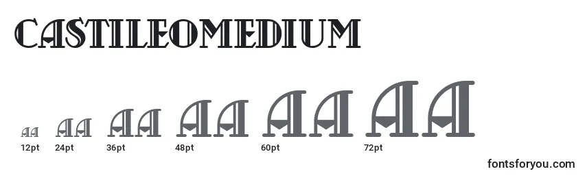 Размеры шрифта CastileoMedium