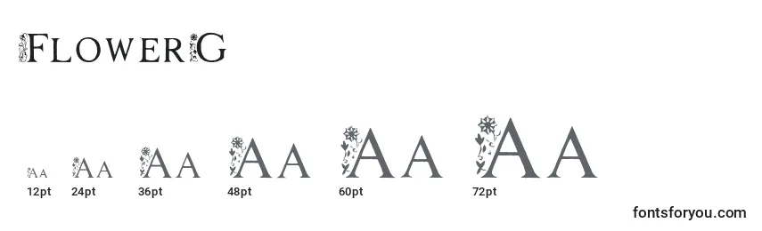 FlowerG Font Sizes
