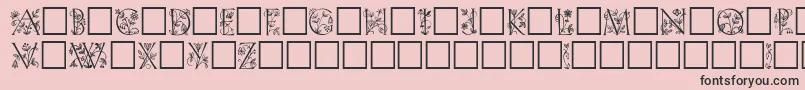 GabelFloribundi-Schriftart – Schwarze Schriften auf rosa Hintergrund